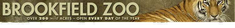 Brookfeild Zoo