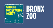 Bronx Zoo