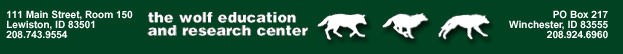 Wolf Education And Research Center