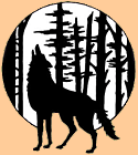 Wolf Hollow